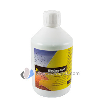 Belgica De Weerd Belgasol 250ml (electrolytes, vitamins, traceelements and amino acids)