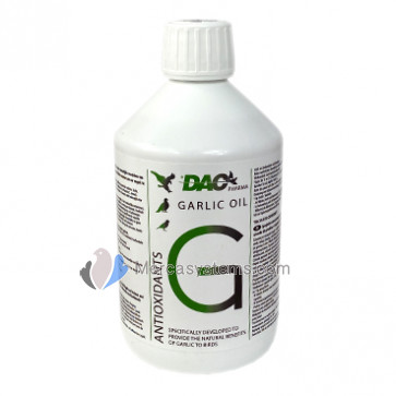 DAC Garlic Oil 500 ml, (enriched garlic oil)