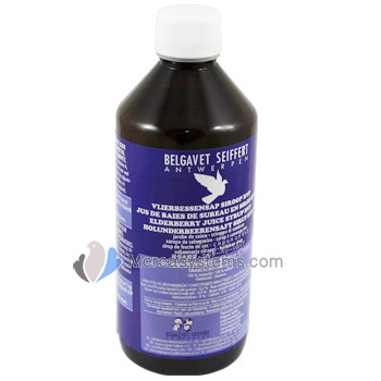 BelgaVet Elderberry Juice sirop 500 ml (keep your pigeons healthy)