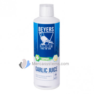 Beyers Garlic Juice 400ml