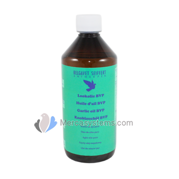 Pigeons products and supplies: BelgaVet Lookolie, (Pure Garlic Oil for pigeons and birds)