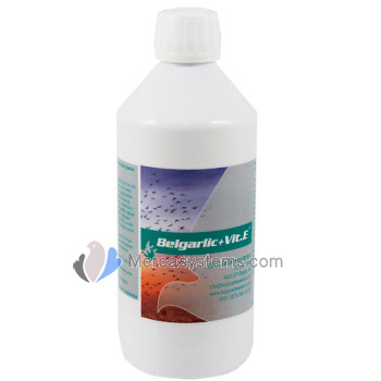 BelgaGarlic + Vit. E 500ml "by Belgica de Weerd" (garlic oil with a high percentage of vitamin E). Pigeons products