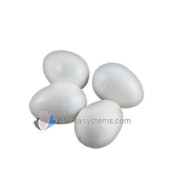 pigeons accessories: Solid plastic dummy egg for pigeons