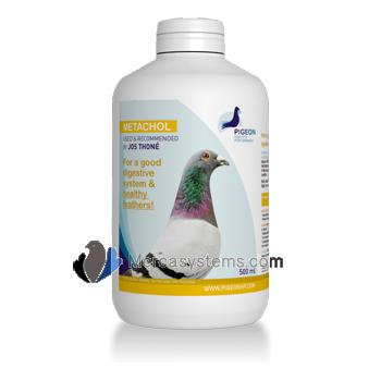 Pigeons & Birds products: PHP Metachol 500ml, (protects the liver and kidneys and helps digestion)