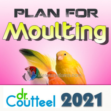 Moulting Plan 2021 for birds. Designed by Dr. Peter Coutteel