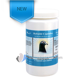 Pigeons Produts and Supplies: New Pigeon Vitality Rebuild capsules, (Building Muscle Strength and Fast Recuperation)