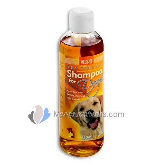 MedPet Tea Tree Oil Shampoo 250 ml, (tea tree oil shampoo for dogs that naturally repels ticks and fleas).