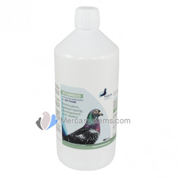 PHP Vitabreed 1000ml (Quality vitamins for perfect breeding). For pigeons and birds