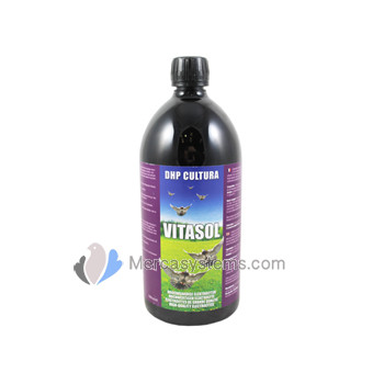 DHP Cultura Vitasol 500ml, (for a perfect recovery after the flights)
