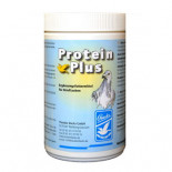 Protein Plus, Backs, Backs Pigeons products