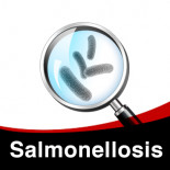 Salmonellosis Individual Treatment Plan in Pigeons