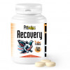 Prowins Recovery Caps, (Instant and complete recovery). For racing pigeons.